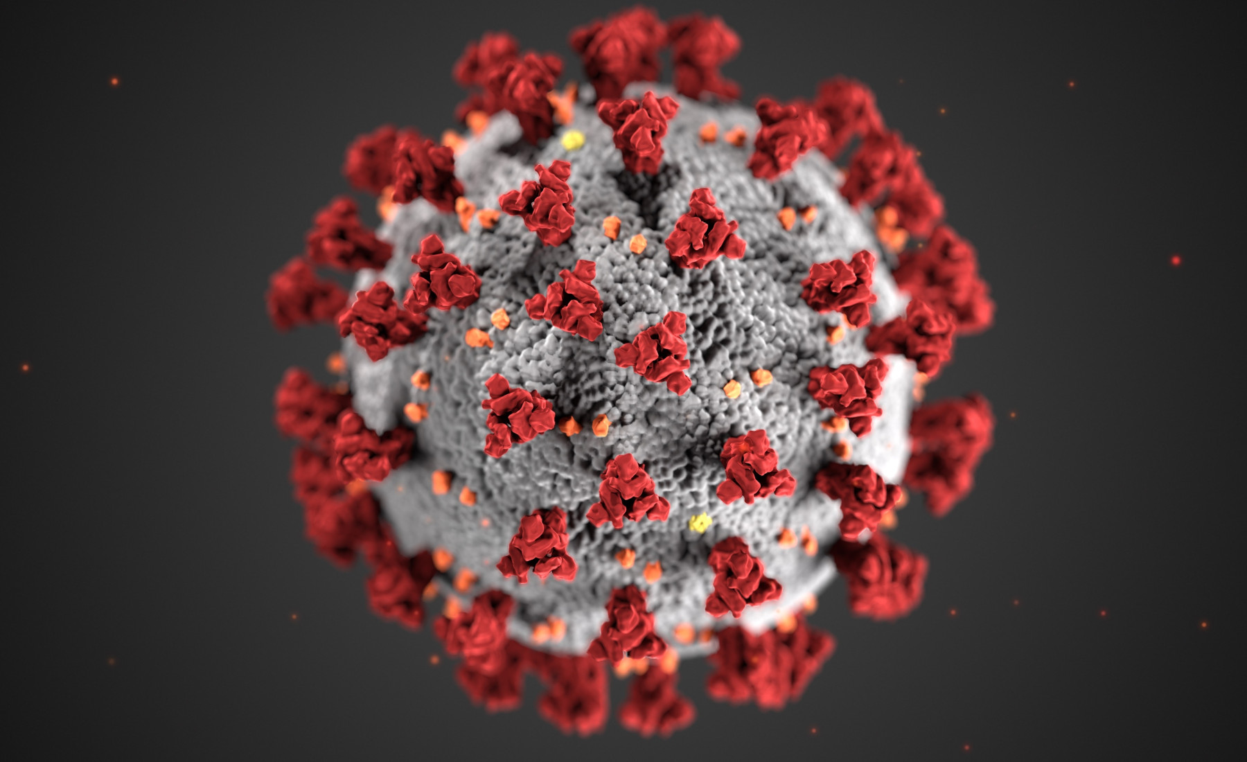 Wirus COVID-19.