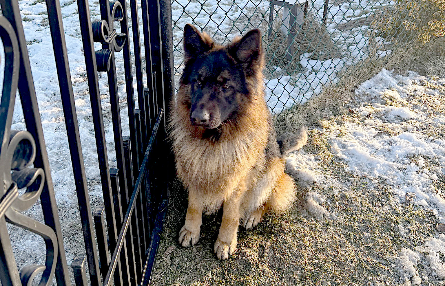 615960113 1481017924028045 6548887270954162575 n